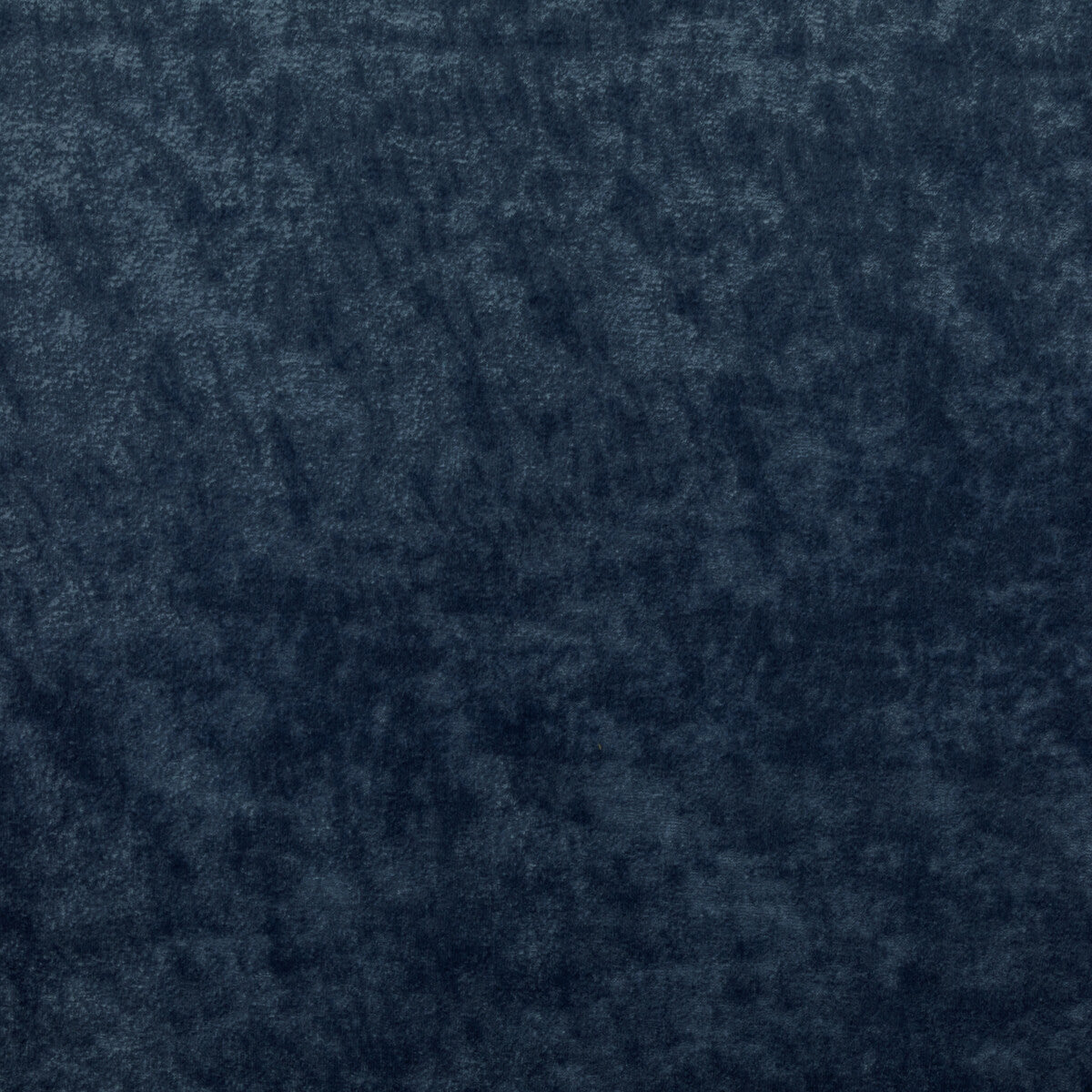 KRAVET COUTURE 36065.5.0 TRIUMPHANT ROYAL Fabric - Eade's Wallpaper