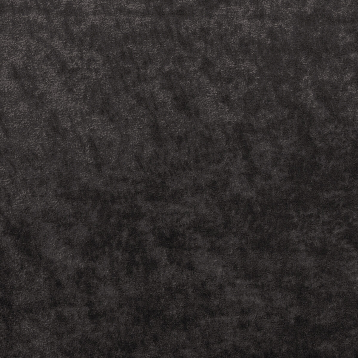 KRAVET COUTURE 36065.821.0 TRIUMPHANT GRAPHITE Fabric - Eade's Wallpaper