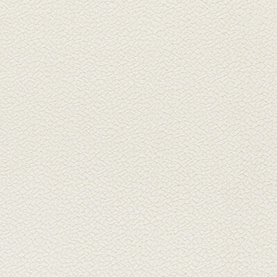 KRAVET SMART 36074.10.0 BARTON CHENILLE SALT Fabric - BARTON CHENILLE II