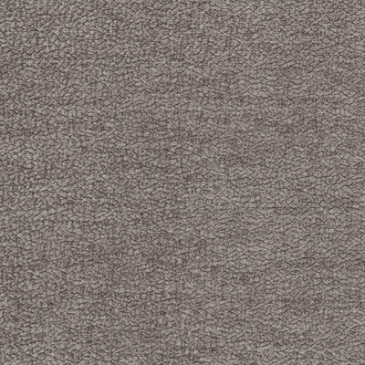 KRAVET SMART 36074.2111.0 BARTON CHENILLE PLATINUM Fabric - BARTON CHENILLE II