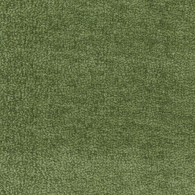 KRAVET SMART 36074.23.0 BARTON CHENILLE SHAMROCK Fabric - BARTON CHENILLE II