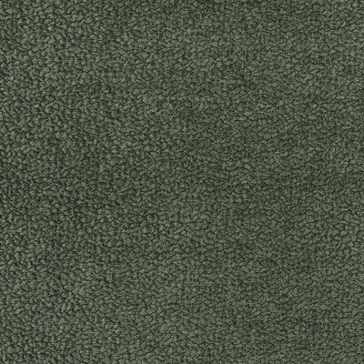KRAVET SMART 36074.33.0 BARTON CHENILLE FERN Fabric - BARTON CHENILLE II