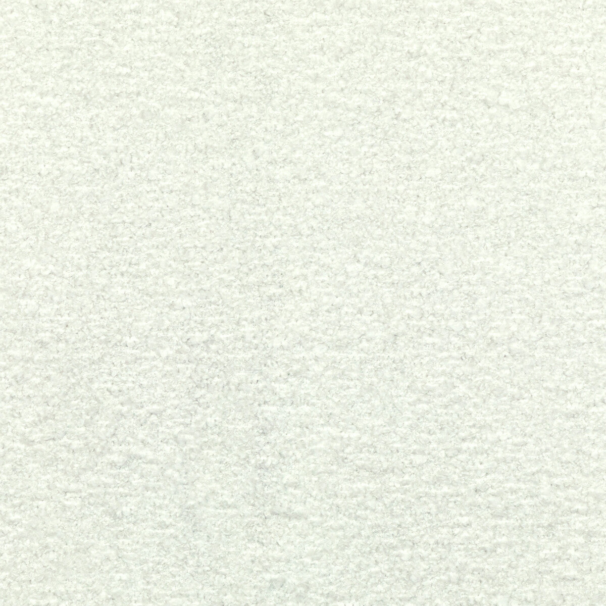KRAVET COUTURE 36105.1.0 FLYING HIGH WHITE Fabric - Eade's Wallpaper