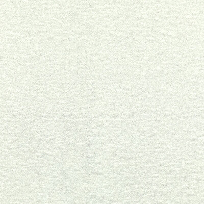 KRAVET COUTURE 36105.1.0 FLYING HIGH WHITE Fabric - Eade's Wallpaper