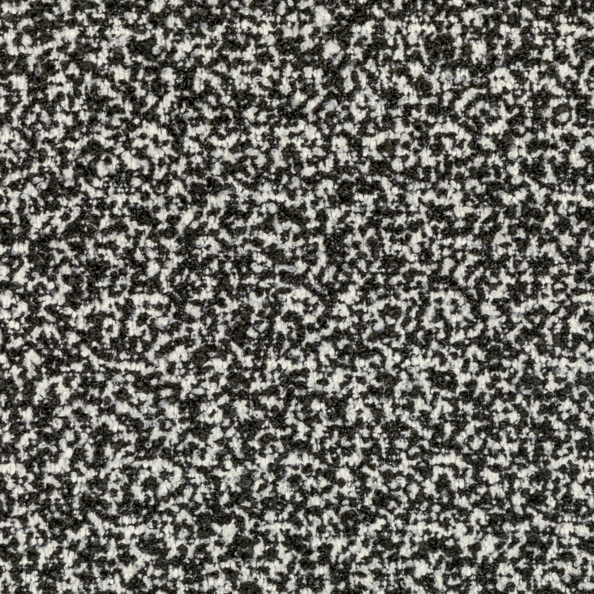 KRAVET COUTURE 36105.81.0 FLYING HIGH IVORY NOIR Fabric - Eade's Wallpaper