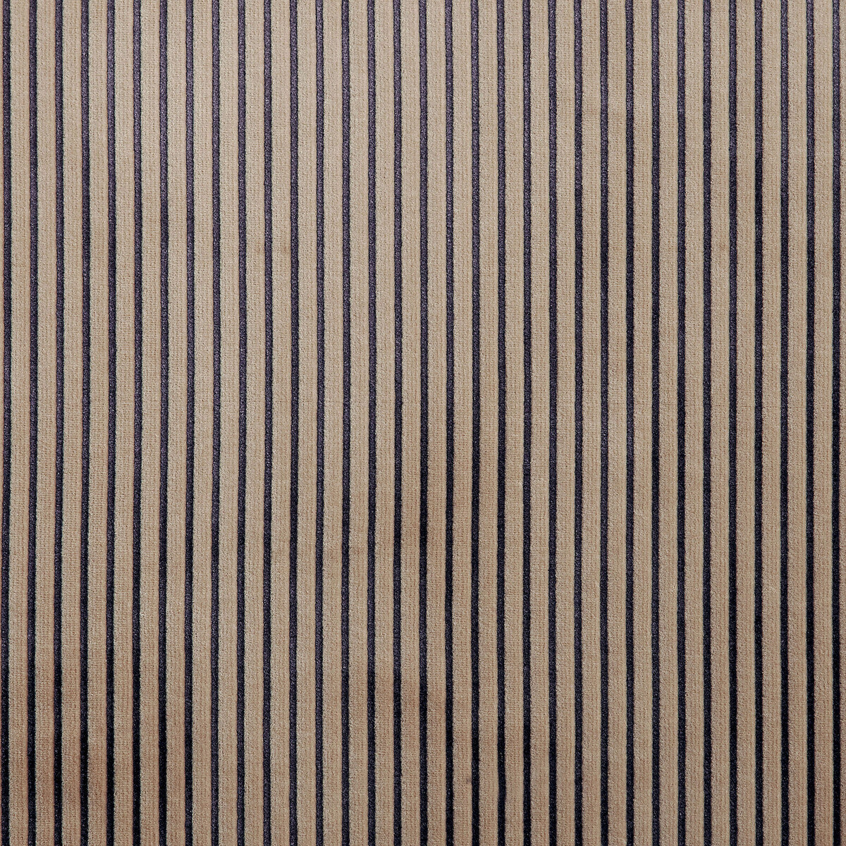 KRAVET COUTURE 36186.6106.0 RAFAH 48 Fabric - Eade's Wallpaper