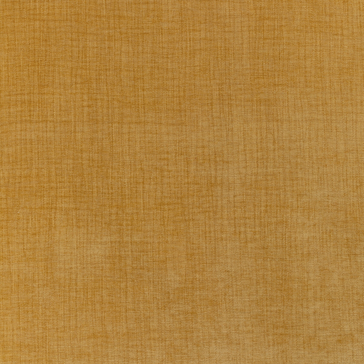 KRAVET CONTRACT 36255.4.0 ACCOMMODATE DIJON Fabric - Eade's Wallpaper