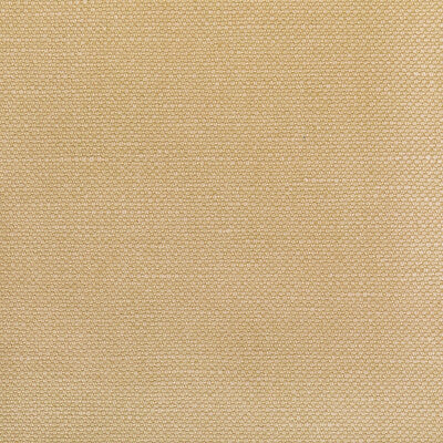 KRAVET BASICS 36282.1614.0 CARSON TUSSAH Fabric - Eade's Wallpaper