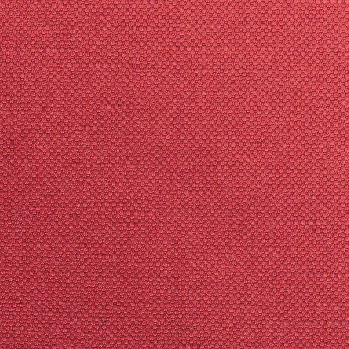 KRAVET BASICS 36282.19.0 CARSON ROSES Fabric - Eade's Wallpaper