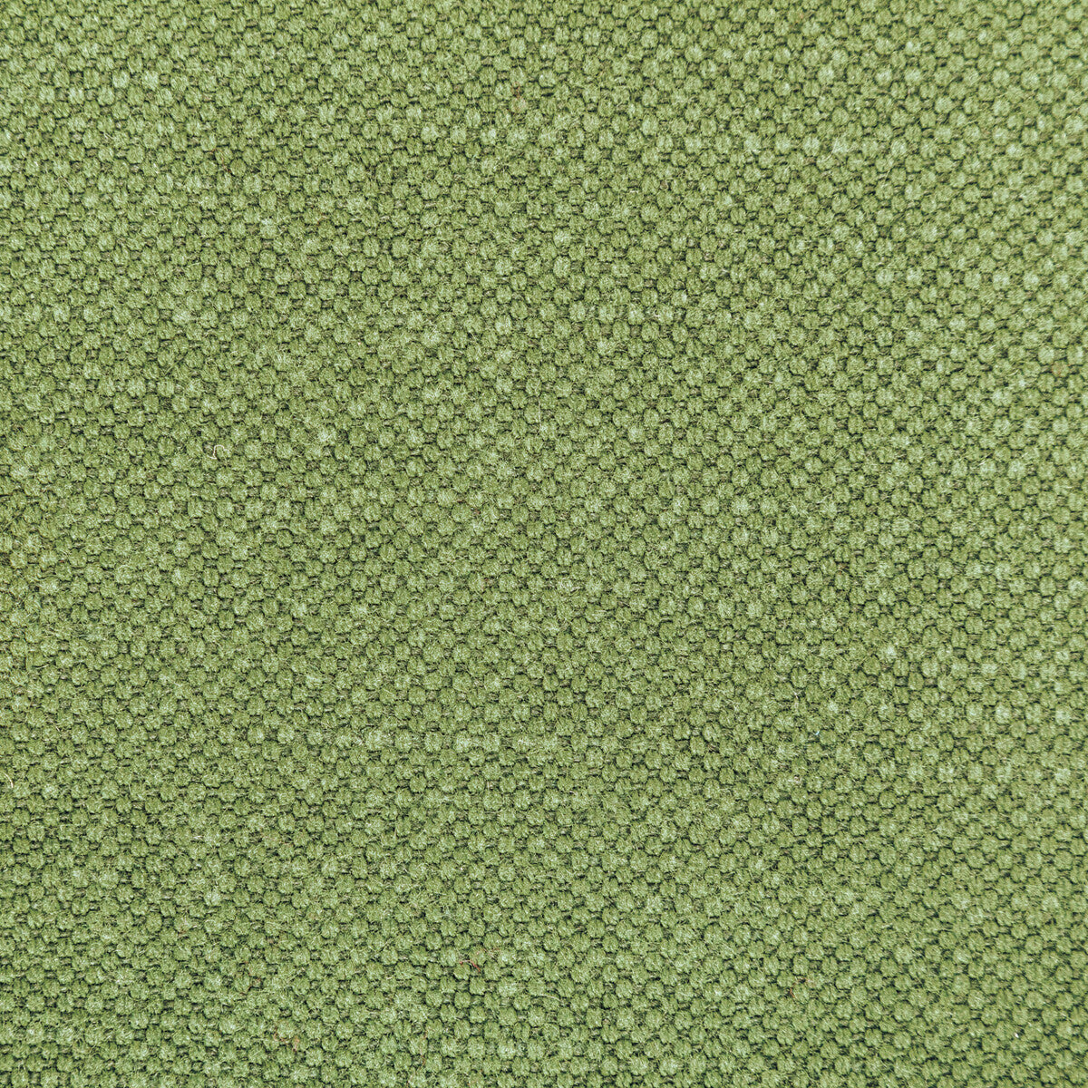 KRAVET BASICS 36282.314.0 CARSON FROG Fabric - Eade's Wallpaper