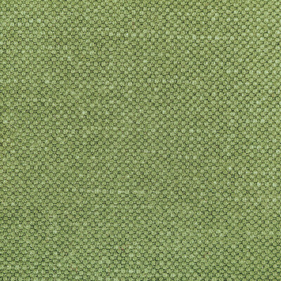 KRAVET BASICS 36282.314.0 CARSON FROG Fabric - Eade's Wallpaper