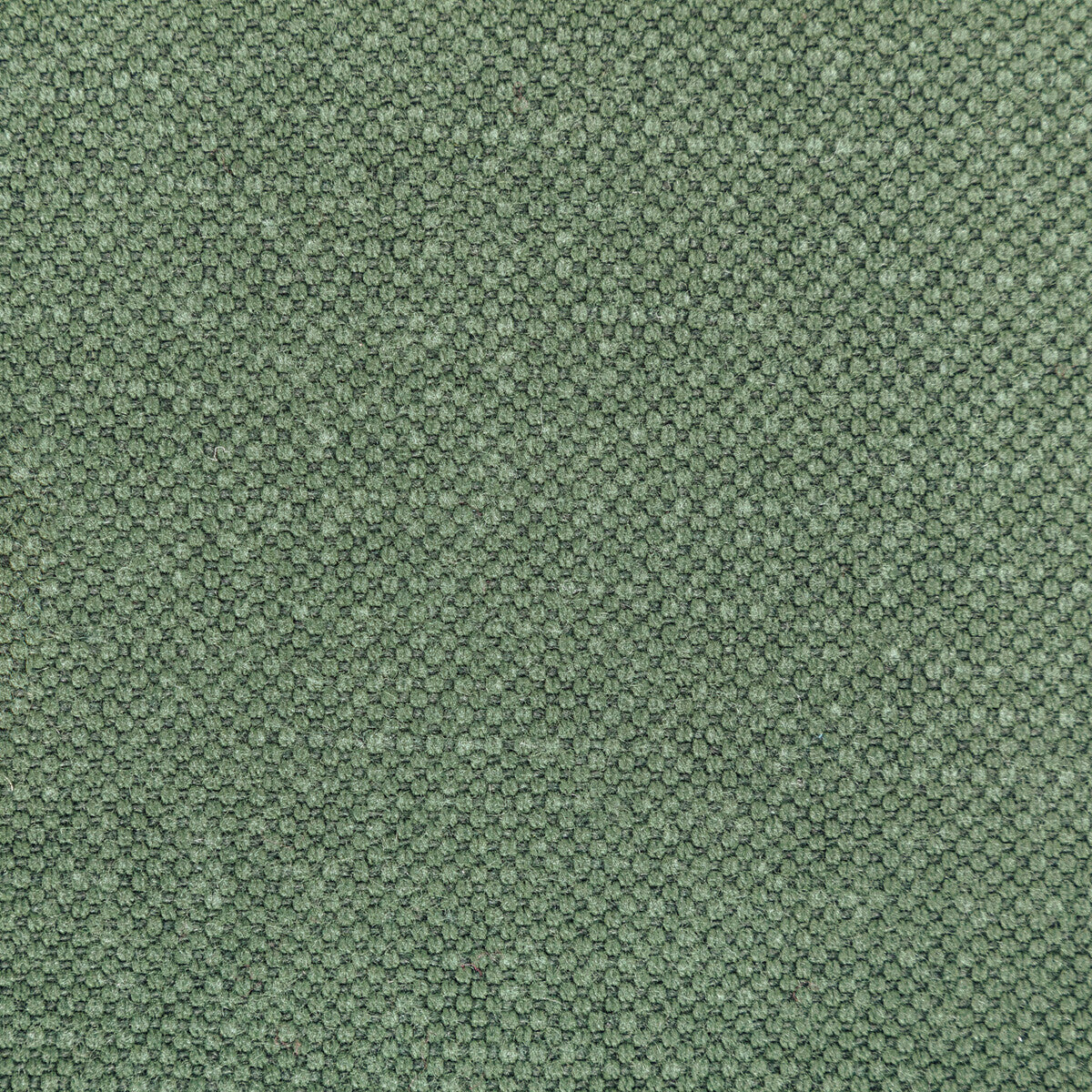 KRAVET BASICS 36282.3535.0 CARSON RELISH Fabric - Eade's Wallpaper