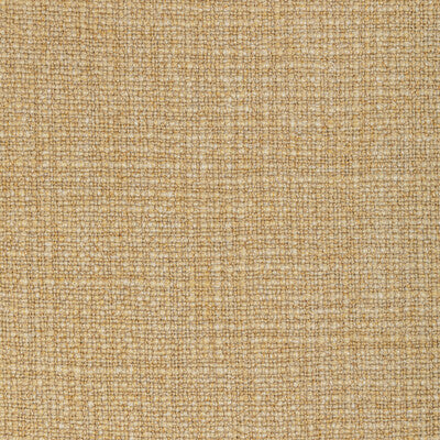 KRAVET COUTURE 36383.416.0 VENTURENO GOLD COAST Fabric - Eade's Wallpaper