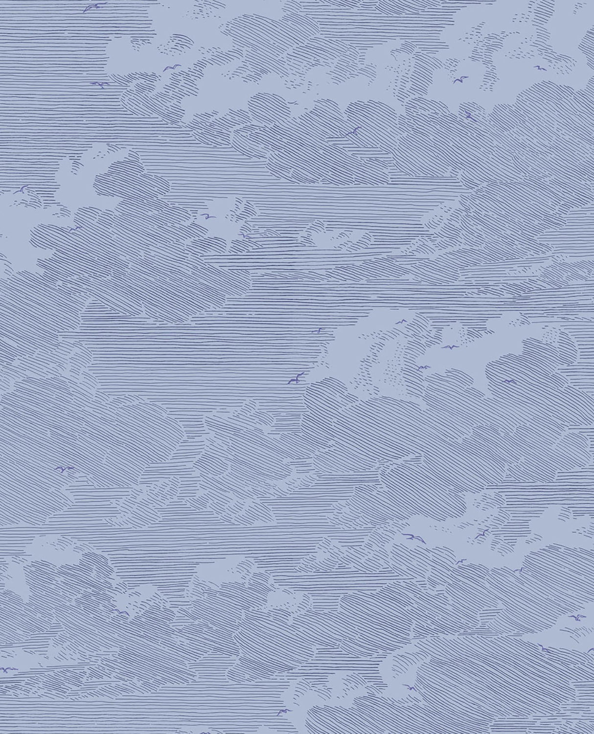 Eijffinger 366062 Palila Navy Cloud Wallpaper