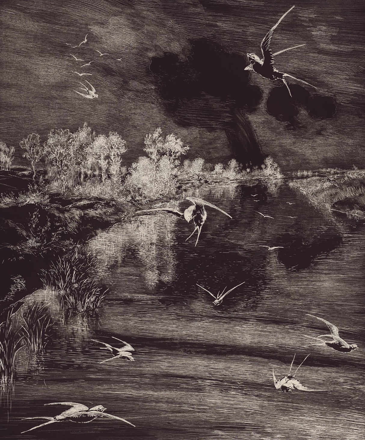 Eijffinger 366100 Hirundo Black Wall Mural