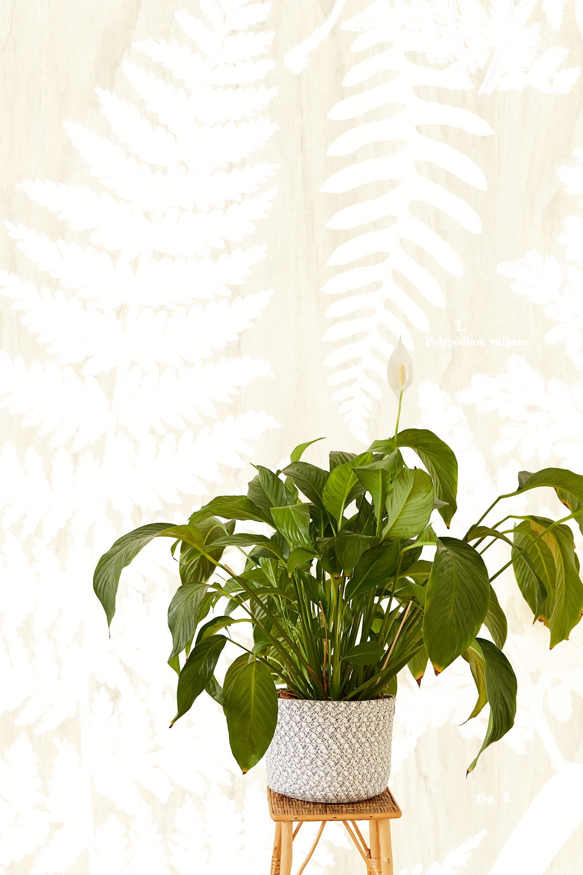 Eijffinger 366106 Herbarium White Wall Mural