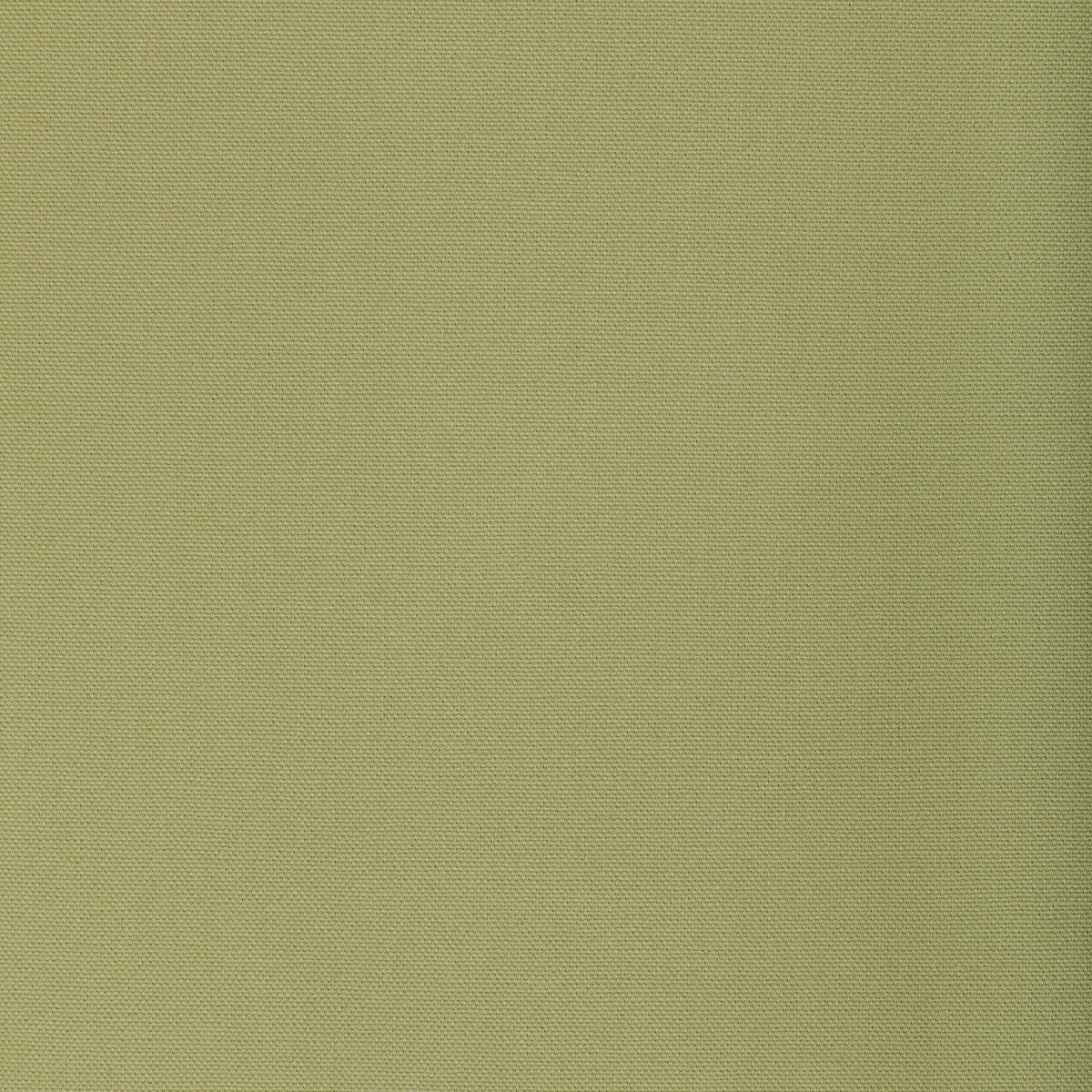 KRAVET BASICS 36656.23.0 KRAVET BASICS 36656-23 Fabric - Eade's Wallpaper