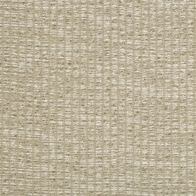 KRAVET COUTURE 3668.106.0 BEJO SHEER PATINA Fabric - Eade's Wallpaper