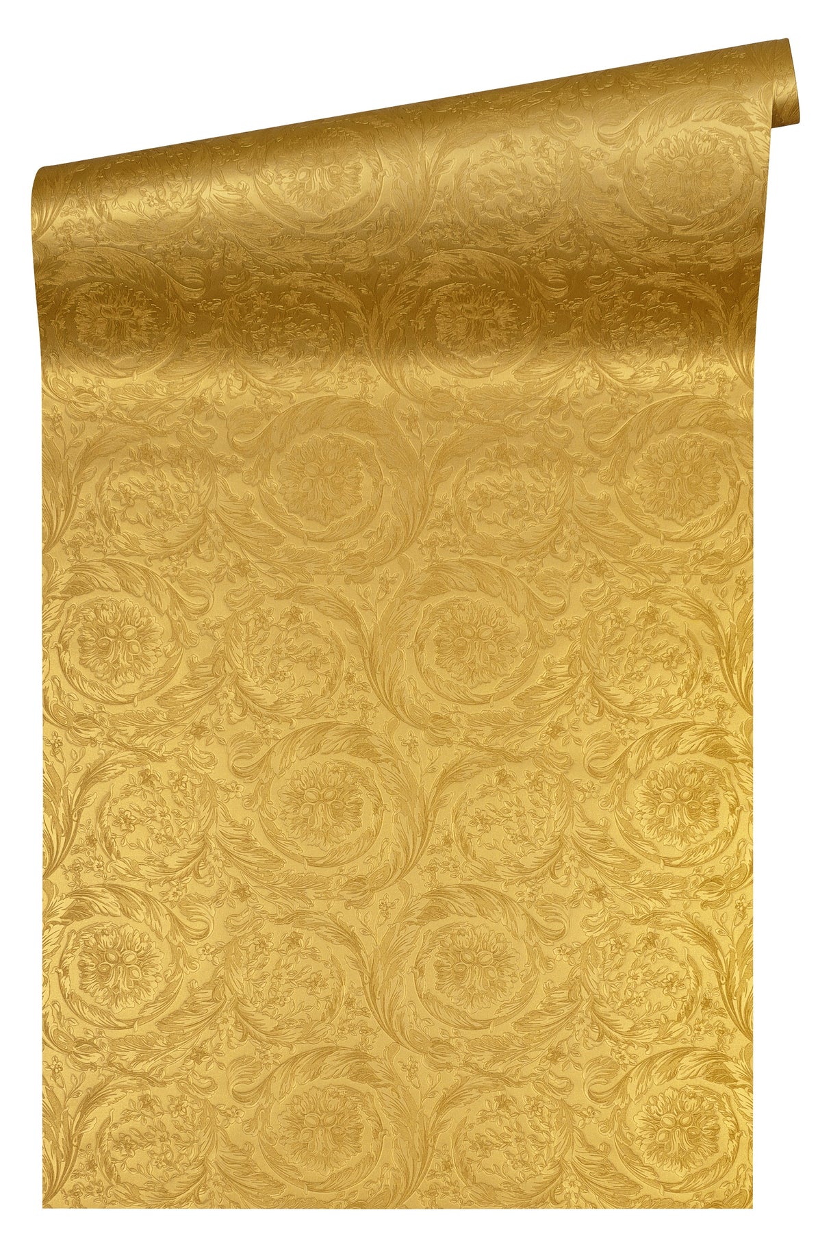 Versace 366923X Wallpaper - Eade's Wallpaper & Fabric