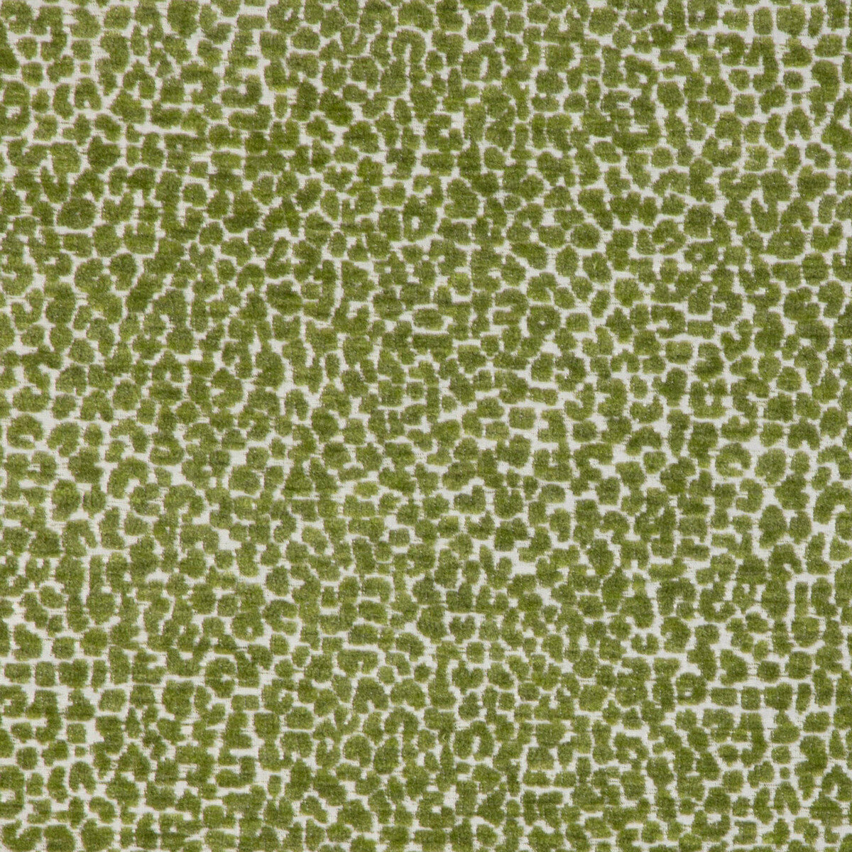 KRAVET DESIGN 36777.3.0 KRAVET DESIGN 36777-3 Fabric - Eade's Wallpaper