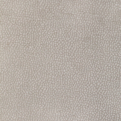 KRAVET DESIGN 36812.11.0 PEBBLE CHENILLE PUTTY Fabric - Eade's Wallpaper