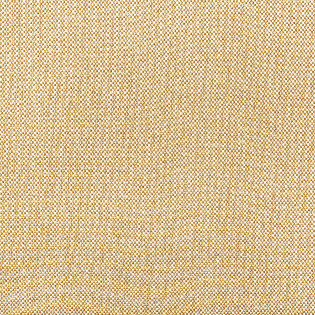 KRAVET BASICS 36829.16.0 KRAVET BASICS 36829-16 Fabric - Eade's Wallpaper