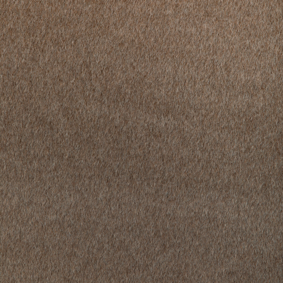 KRAVET COUTURE 36872.6.0 ALPACA DRIFT UMBER Fabric - Eade's Wallpaper