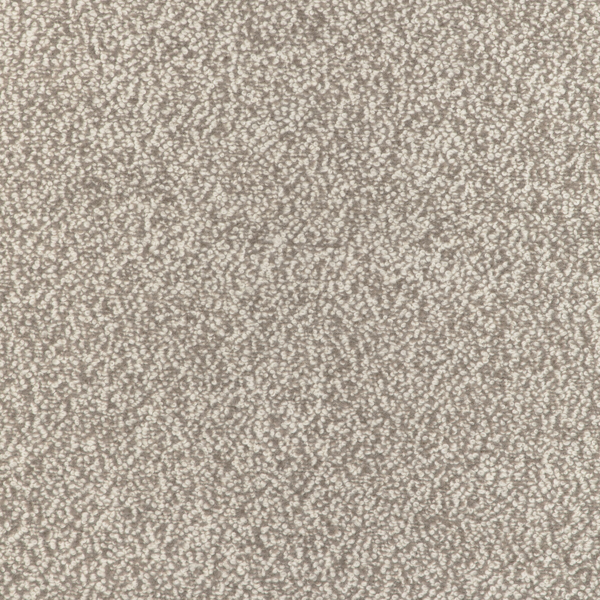 KRAVET COUTURE 36898.6.0 ALPACA BOUCLE FAWN Fabric - Eade's Wallpaper