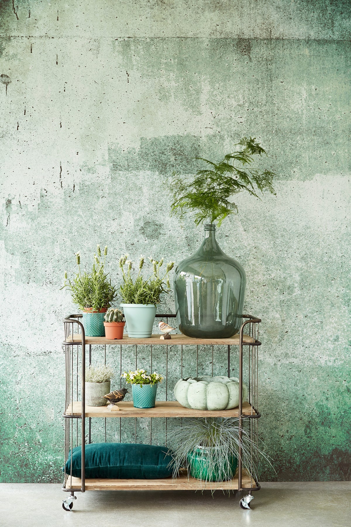 Eijffinger 369151 Green Weathered Wall Mural
