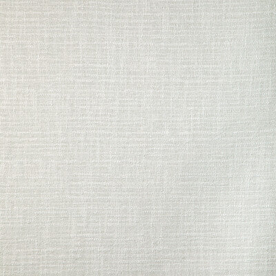 KRAVET DESIGN 37048.101.0 BELLOWS SALT Fabric - Eade's Wallpaper