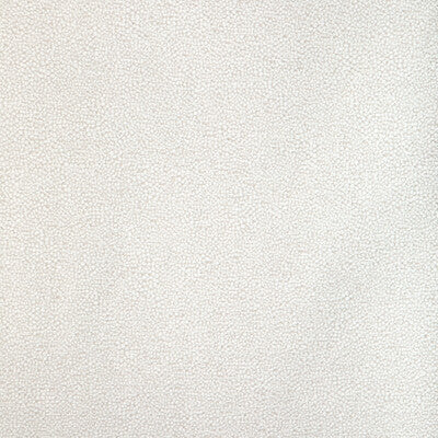 KRAVET DESIGN 37052.111.0 MULFORD SALT Fabric - Eade's Wallpaper