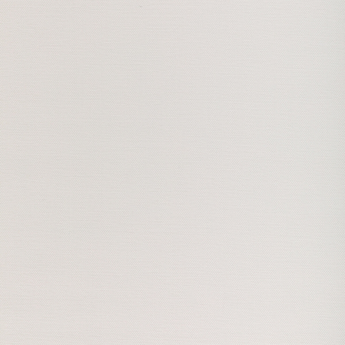 KRAVET COUTURE 37255.101.0 SOFTGROUND IVORY Fabric - Eade's Wallpaper