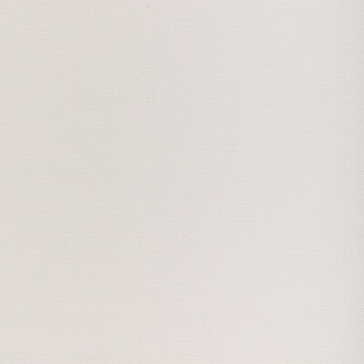 KRAVET COUTURE 37255.101.0 SOFTGROUND IVORY Fabric - Eade's Wallpaper
