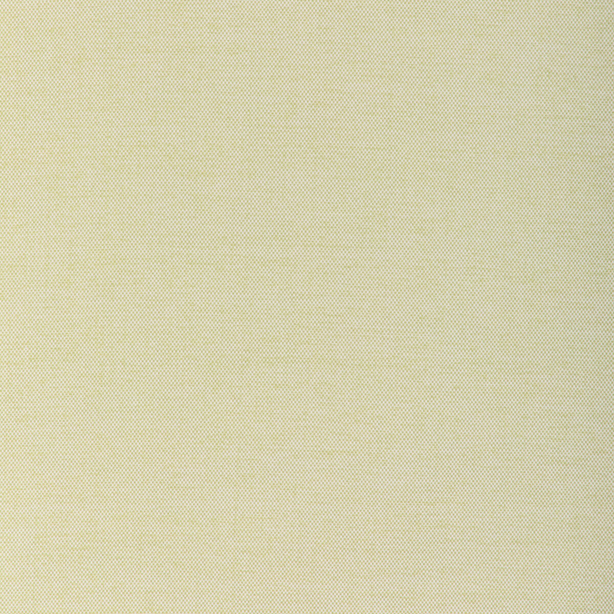 KRAVET COUTURE 37255.23.0 SOFTGROUND CACTUS Fabric - Eade's Wallpaper