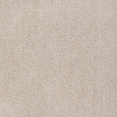 KRAVET DESIGN 37310.1101.0 KRAVET DESIGN 37310-1101 Fabric - Eade's Wallpaper