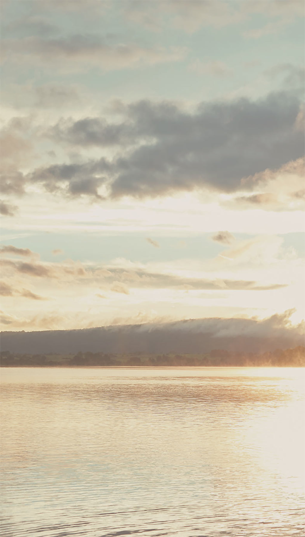 Eijffinger 379103 From Dusk To Dawn Wall Mural