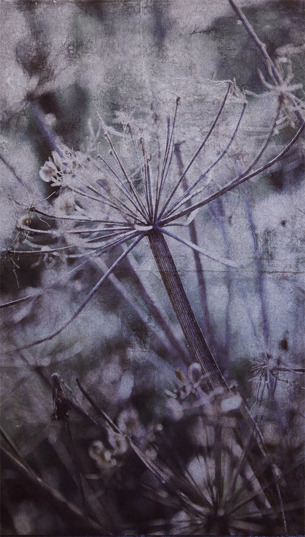 Eijffinger 379106 Acanthus Blue Wall Mural