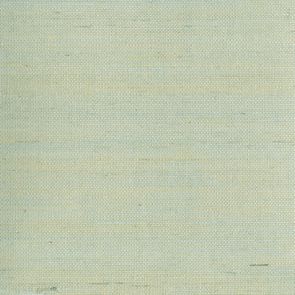 Eade’s Mugen Light Green Grasscloth Wallpaper Light Green
