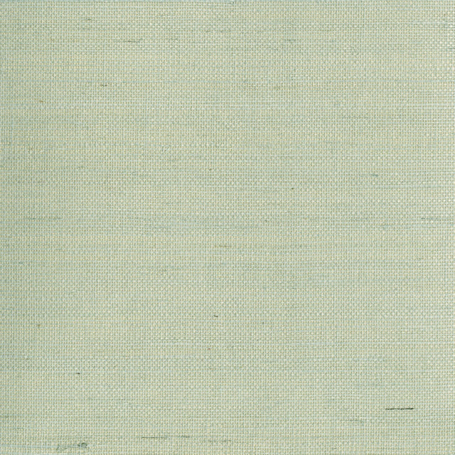 Eade’s Mugen Light Green Grasscloth Wallpaper Light Green