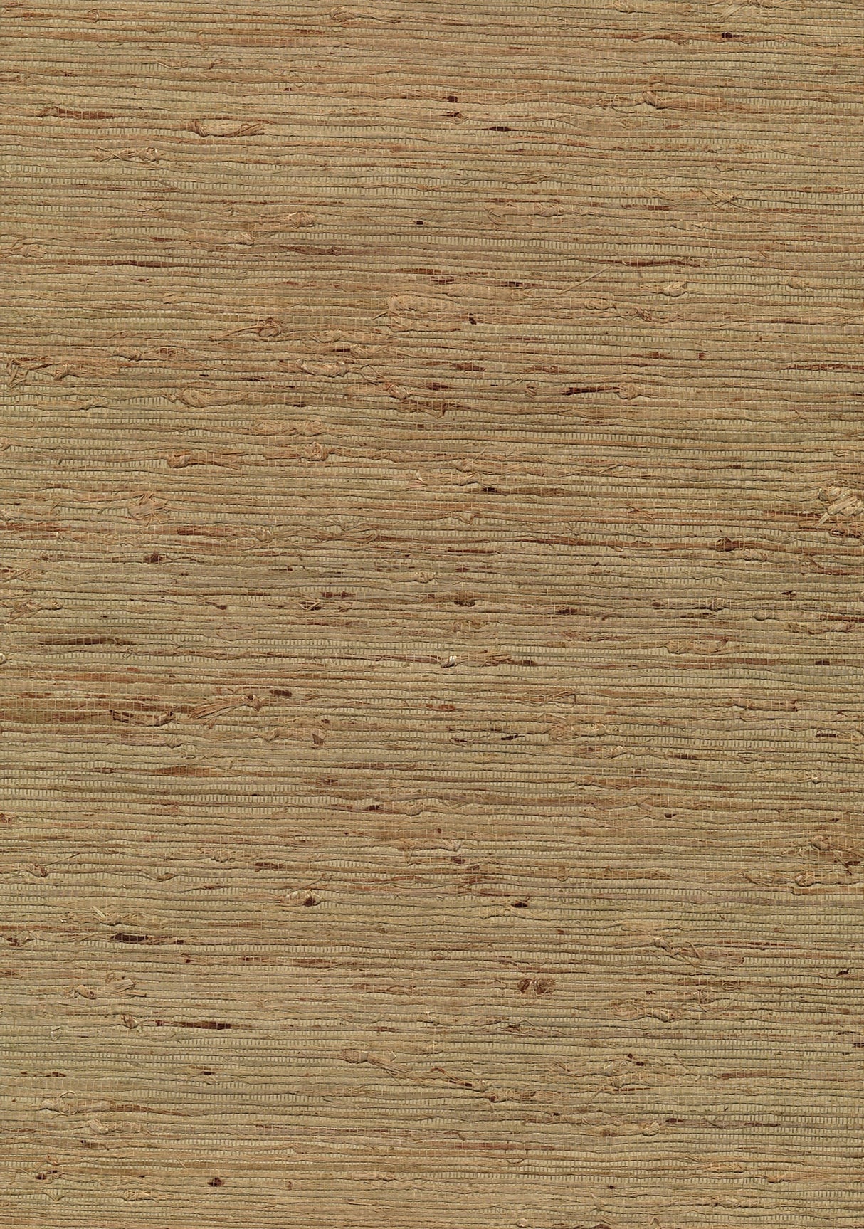 Eade’s Hayato Light Green Grasscloth Wallpaper Light Green