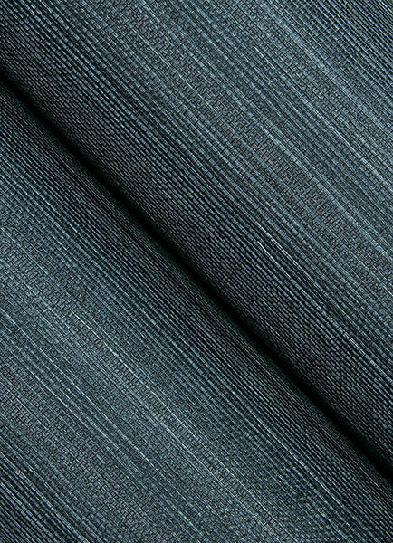 Eade’s Colcord Navy Sisal Grasscloth Wallpaper by Scott Livi