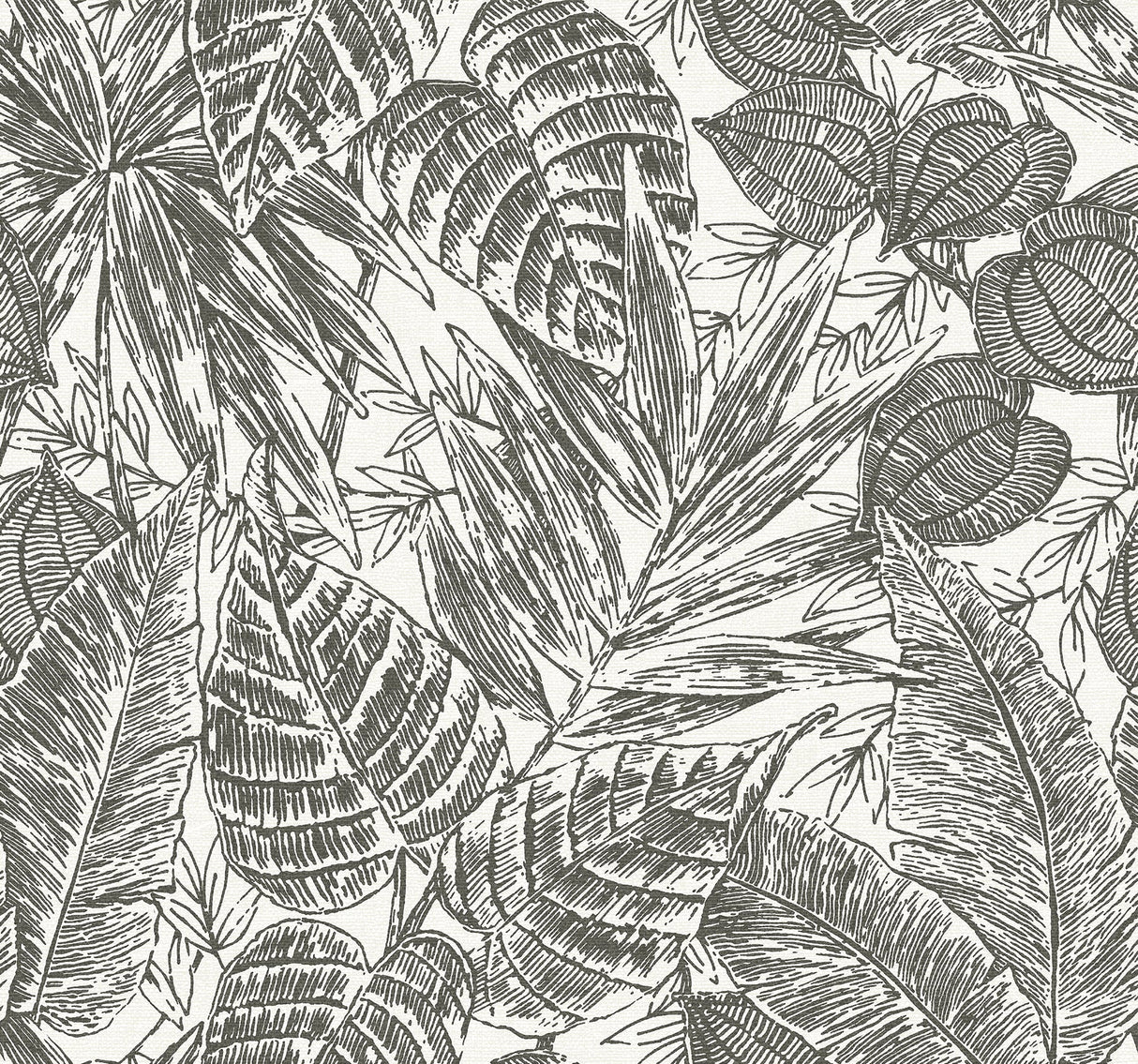 A-Street Prints 4034-72115 Brentwood Black Palm Leaves Wallpaper by Scott Living