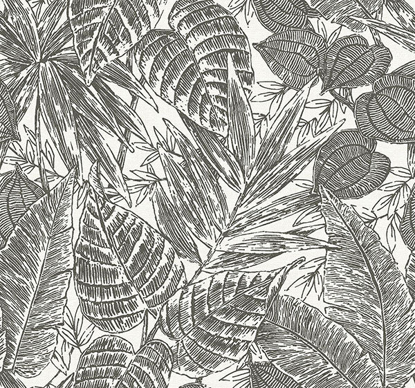 Eade’s Brentwood Black Palm Leaves Wallpaper by Scott Living