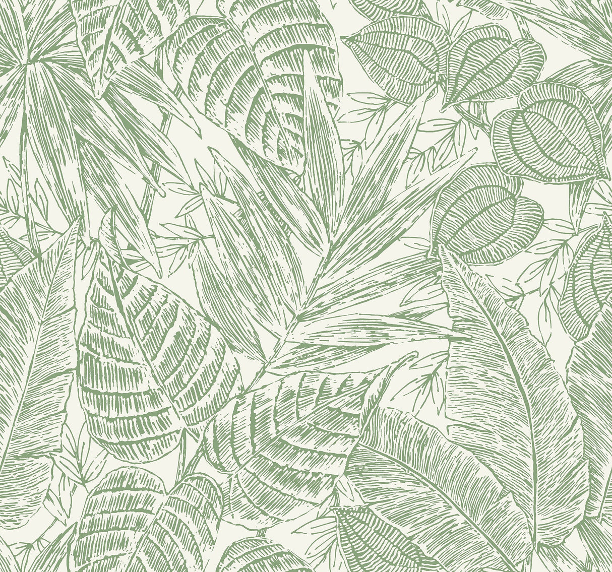 A-Street Prints 4034-72116 Brentwood Green Palm Leaves Wallpaper by Scott Living