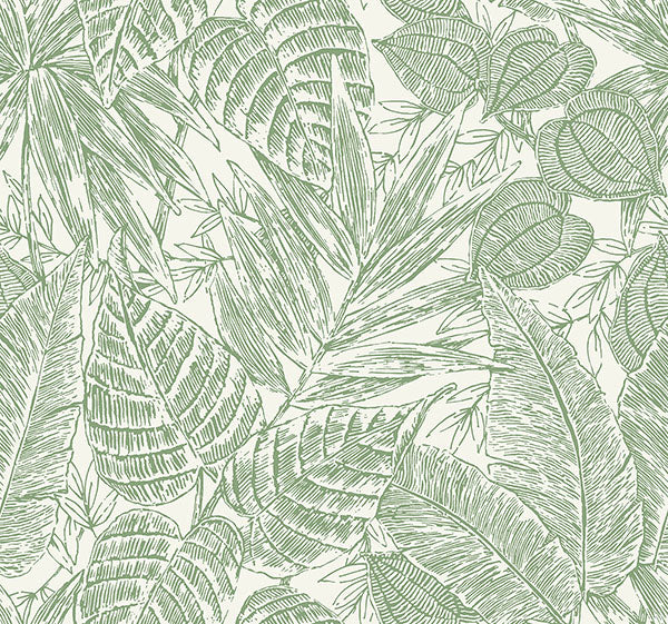Eade’s Brentwood Green Palm Leaves Wallpaper by Scott Living