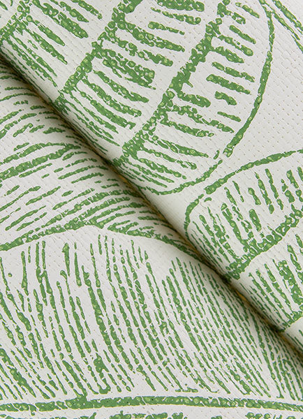 Eade’s Brentwood Green Palm Leaves Wallpaper by Scott Living
