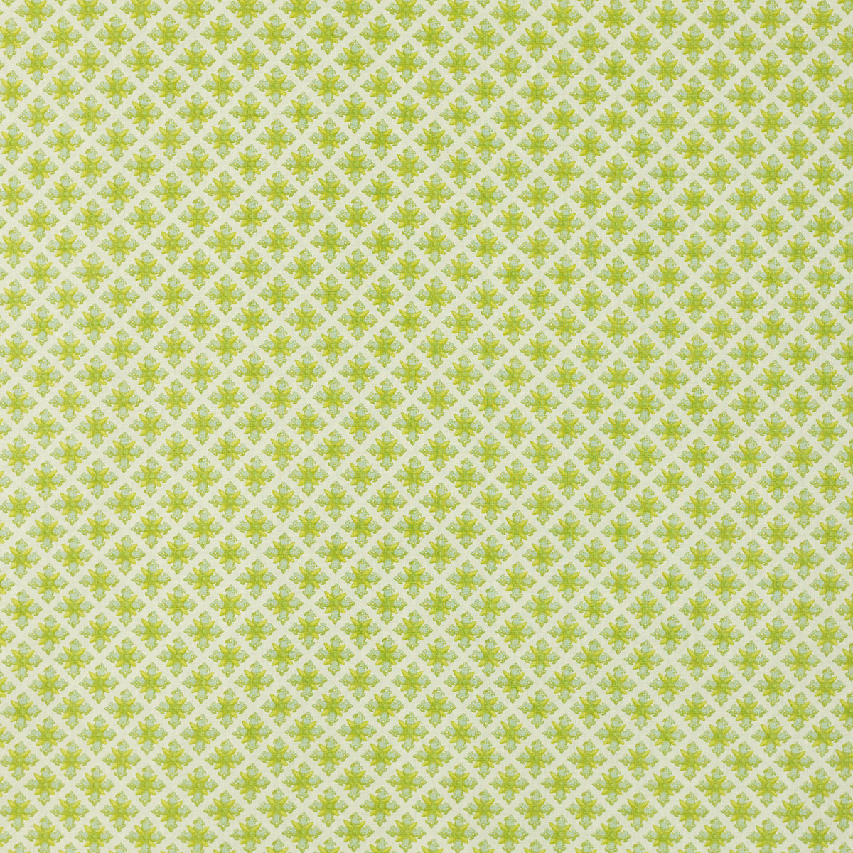Schumacher 403N67 GRANADA in ROBIN'S EGG Fabric - RAOUL TEXT