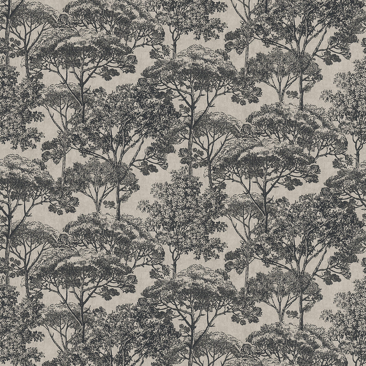 Advantage 4044-38023-3 Teatro Black Trees Wallpaper