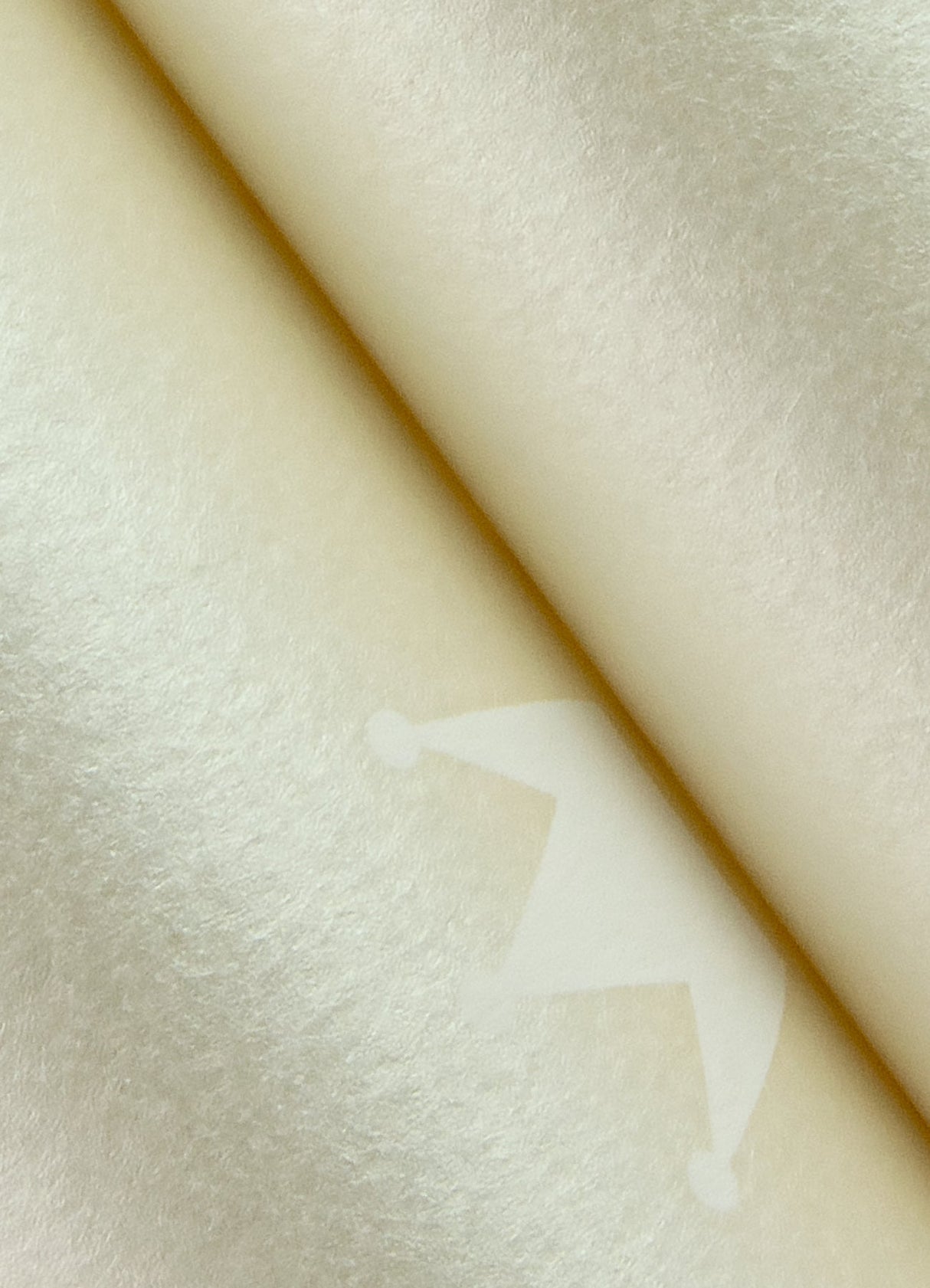 Chesapeake 4060-347703 Bea Silver Crowns Wallpaper