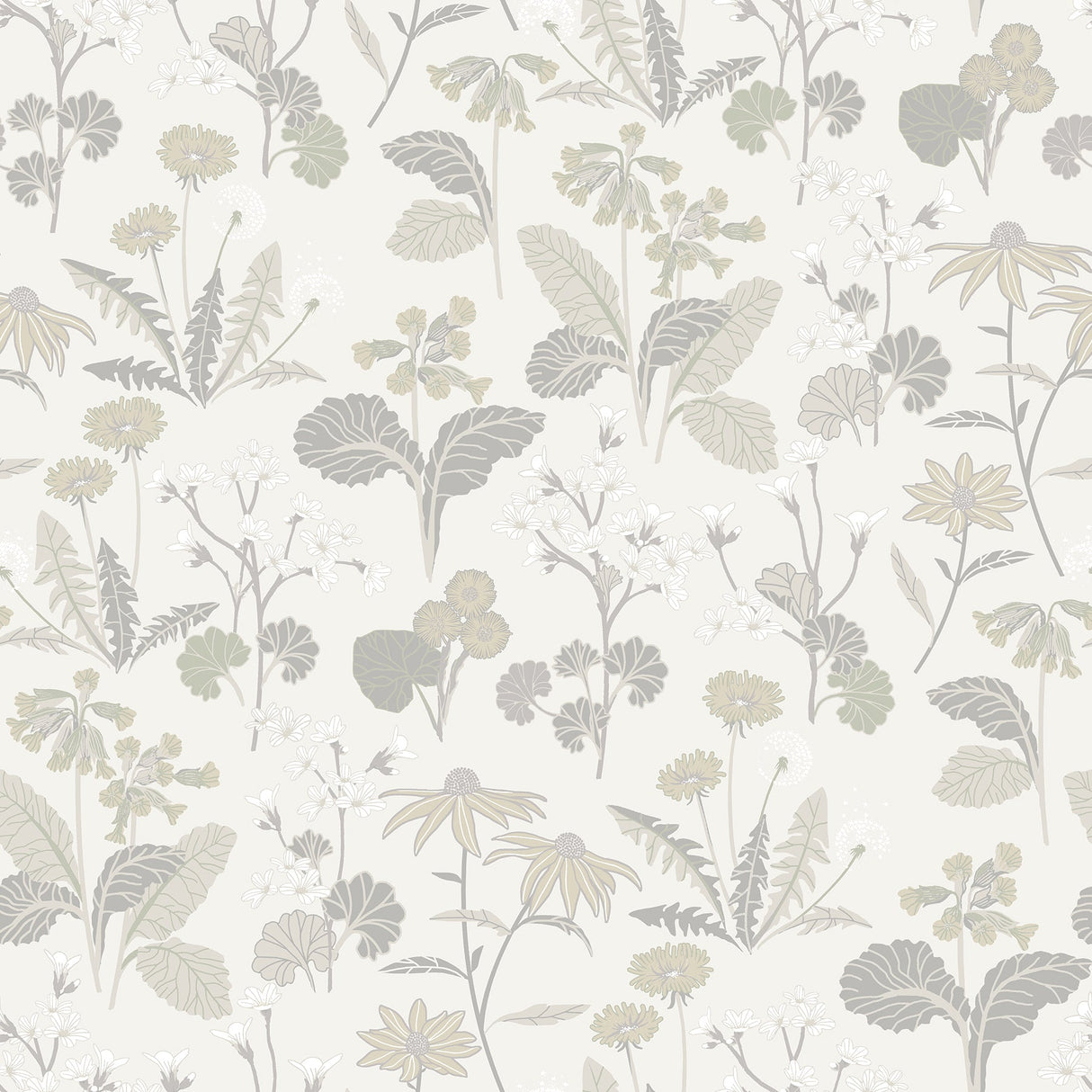 A-Street Prints 4080-92136 Magdalena Light Grey Dandelion Wallpaper